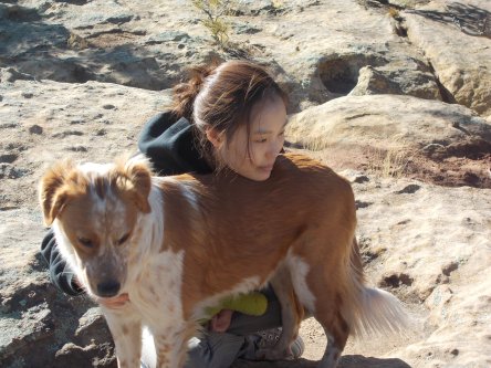 Miss. Park socializing a rescued dog at Heart and Soul Animal Sanctuary